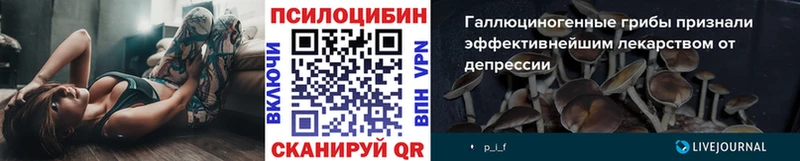 продажа наркотиков  Вихоревка  Псилоцибиновые грибы MAGIC MUSHROOMS 